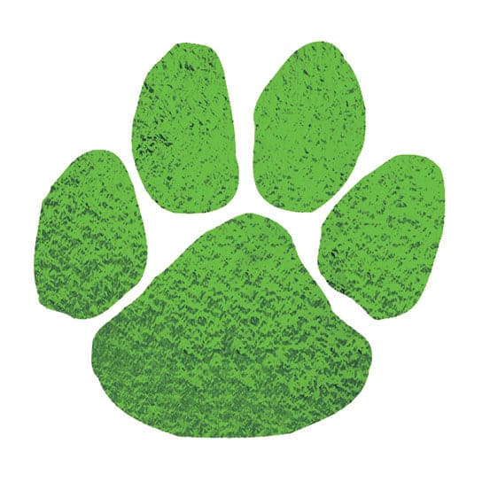 Collection of Metallic Green Paw Promotional Product Tattoo 2 in x 2 in in a gallery layout
