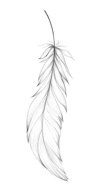 Collection of Hand Drawn Feather Temporary Tattoo in a gallery layout