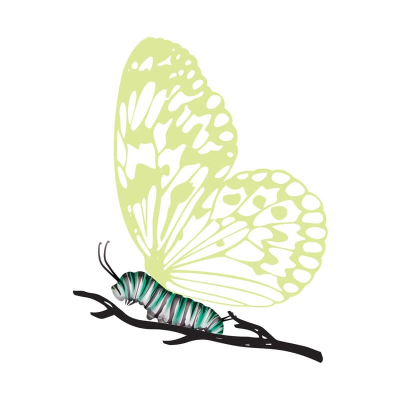 Collection of Caterpillar with Reveal Glow-in-the-Dark Butterfly Promotional Product Tattoo in a gallery layout