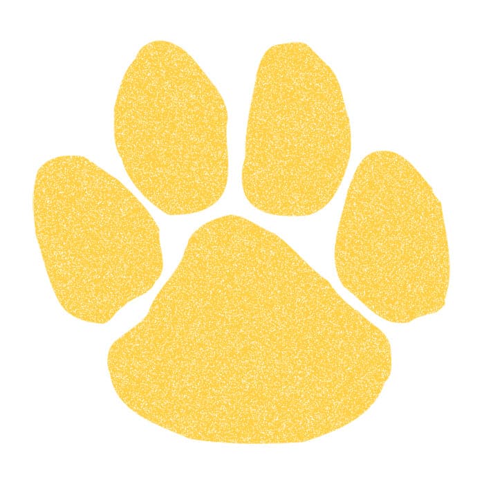 Collection of Glitter Yellow Paw Print Promotional Product Tattoo 2 in x 2 in in a gallery layout