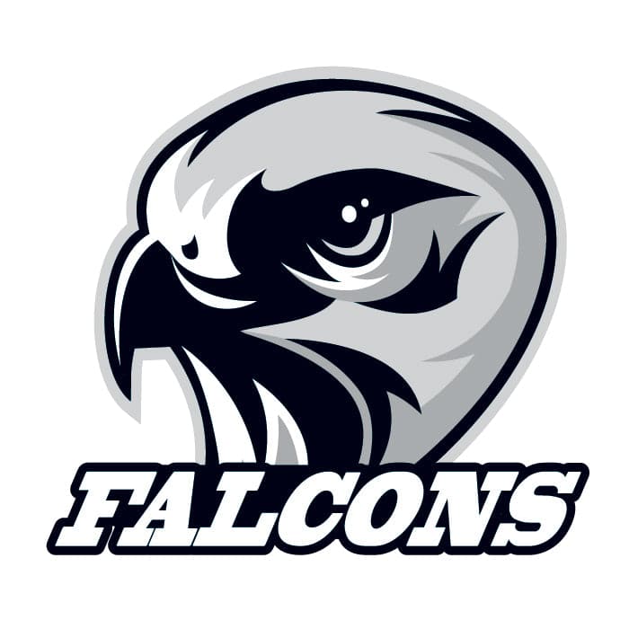 Collection of Falcons Promotional Product Tattoo 2 in x 2 in in a gallery layout