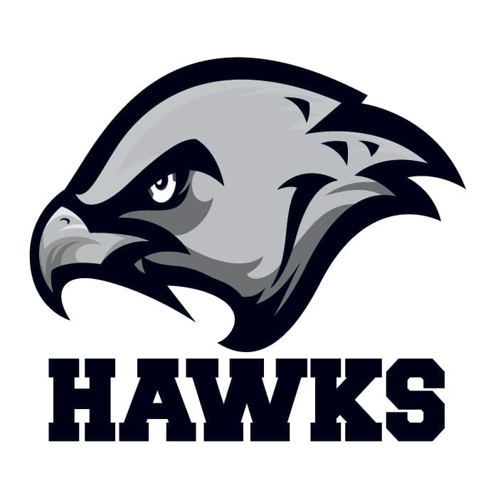 Collection of Hawks Promotional Product Tattoo 2 in x 2 in in a gallery layout