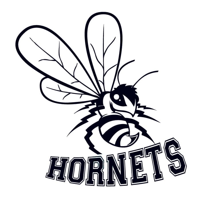 Collection of Hornets Sports Promotional Product Tattoo 2 in x 2 in in a gallery layout