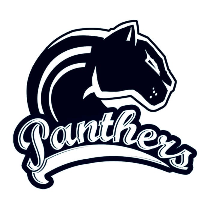 Collection of Panthers Promotional Product Tattoo 2 in x 2 in in a gallery layout