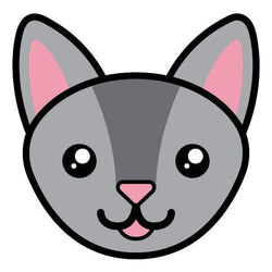 Collection of Chartreux Cat Face Promotional Product Tattoo in a gallery layout