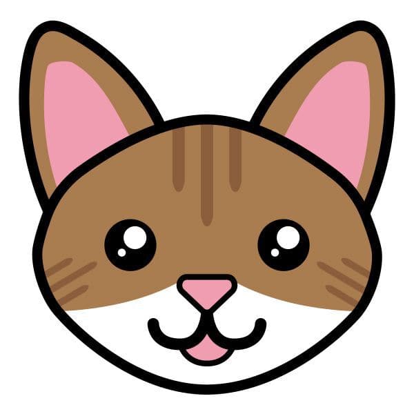 Collection of Brown Tabby Cat Face Promotional Product Tattoo in a gallery layout