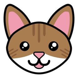 Collection of Brown Tabby Cat Face Promotional Product Tattoo in a gallery layout
