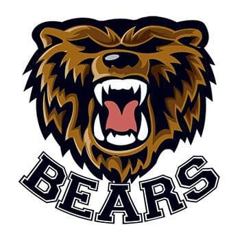 Collection of Bears Mascot Promotional Product Tattoo in a gallery layout