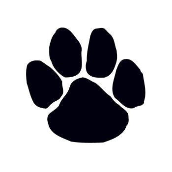Collection of Black Paw Print in a gallery layout