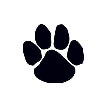 Collection of Paw Print 50 Ct in a gallery layout