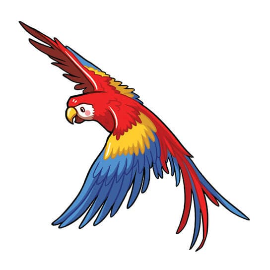 Collection of Flying Macaw Promotional Product Tattoo in a gallery layout