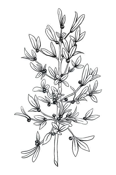 Collection of Black and White Mistletoe Promotional Product Tattoo in a gallery layout
