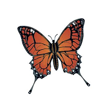 Collection of Monarch Butterfly Temporary Tattoo in a gallery layout
