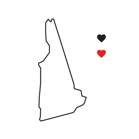 Collection of New Hampshire State Pride Promotional Product Tattoo in a gallery layout