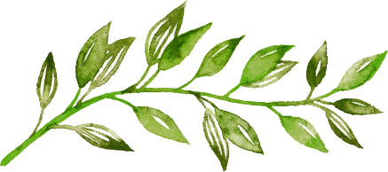 Collection of Watercolor Leaves Temporary Tattoo in a gallery layout