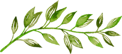 Collection of Watercolor Leaves Temporary Tattoo in a gallery layout